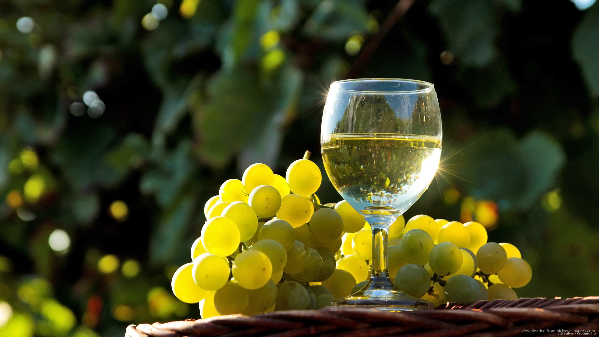 10 Best Georgian Wines of autumn geotv.ge